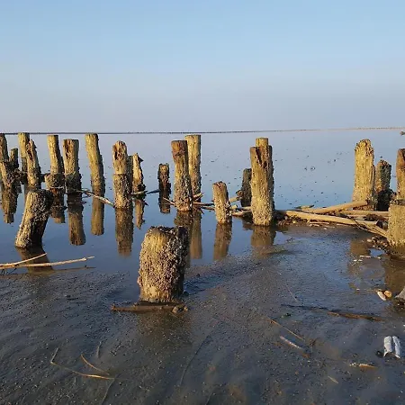 Brandt Sankt Peter-Ording